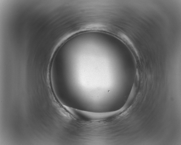 X0000070411336200606121320