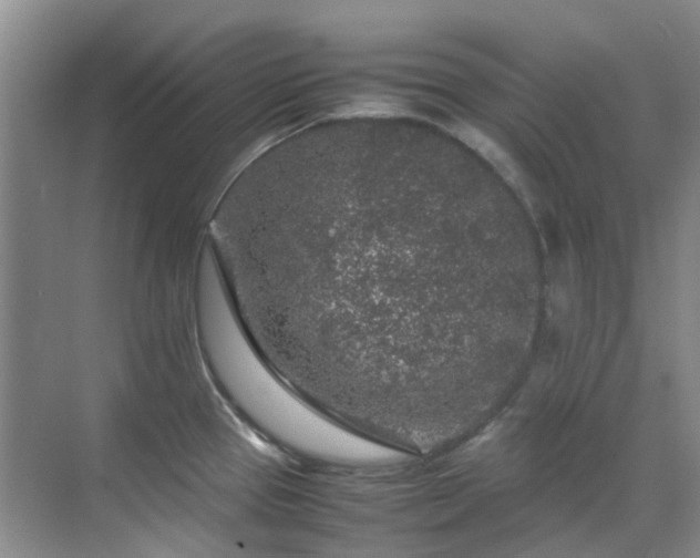 X0000070411337200606121320