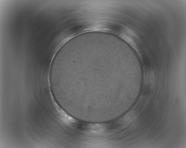 X0000070411338200606121320