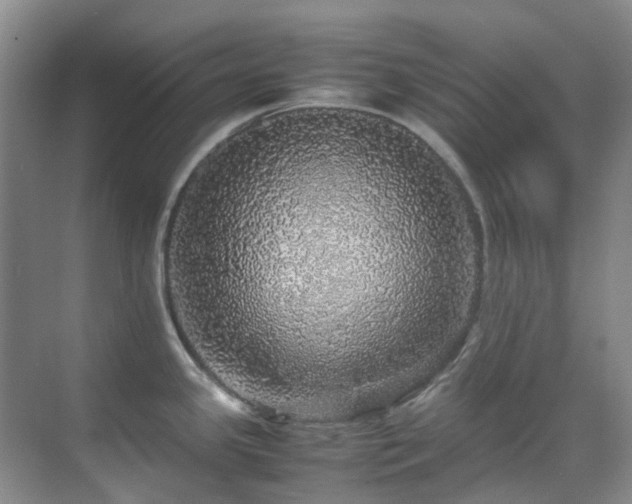 X0000070411341200606121320