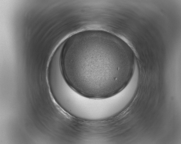 X0000070411342200606121320