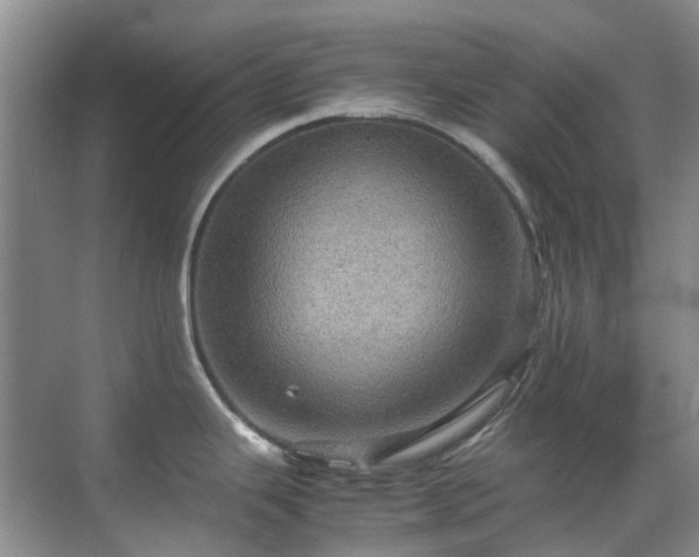 X0000070411343200606121320