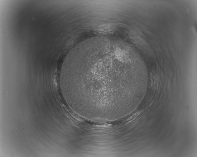 X0000070411346200606121319