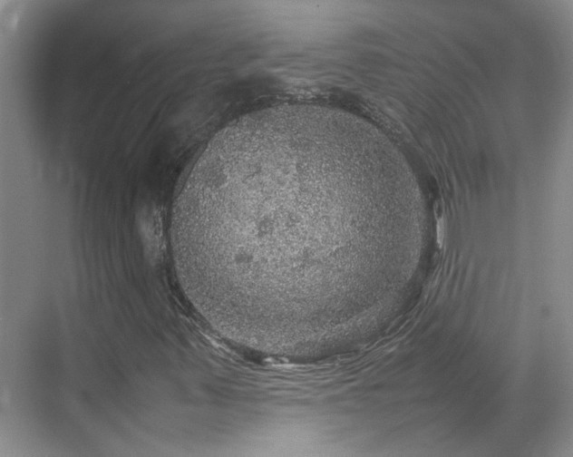 X0000070411347200606121319