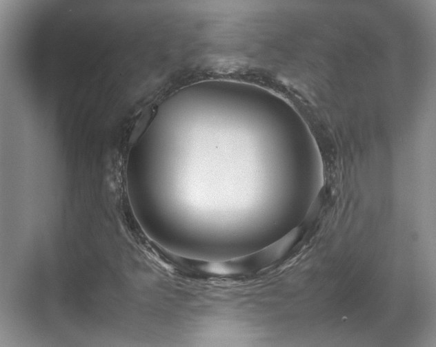 X0000070411349200606121319