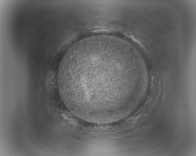 X0000070411351200606121319