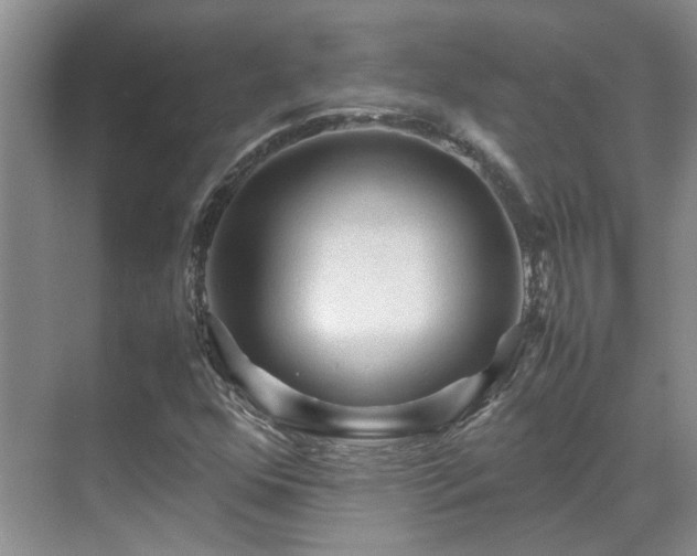 X0000070411352200606121319