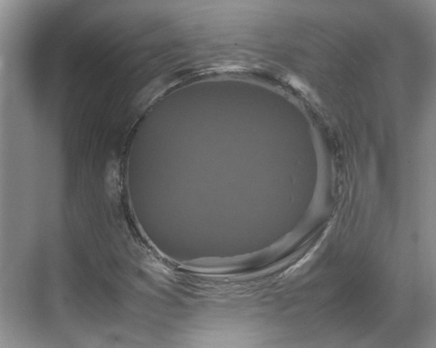 X0000070411353200606121319