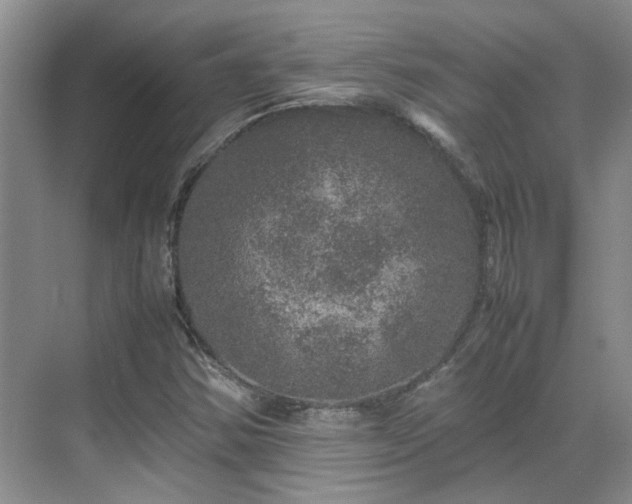 X0000070411354200606121319