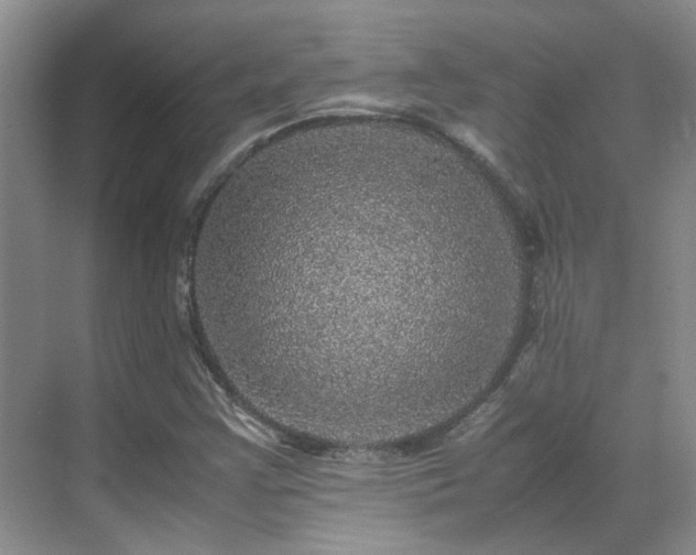 X0000070411355200606121319