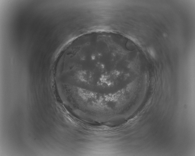 X0000070411359200606121319