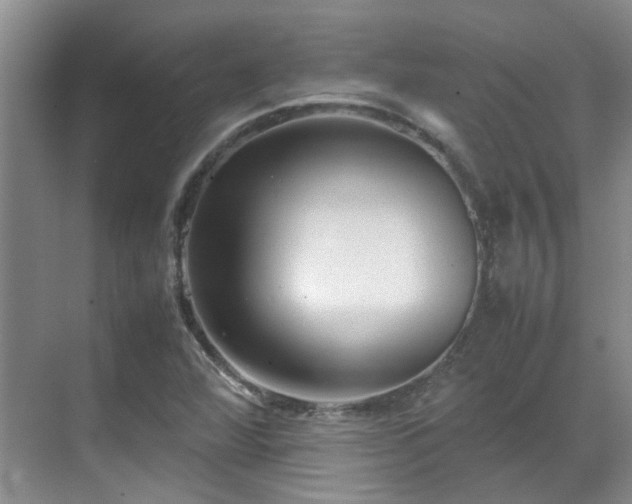 X0000070411360200606121319