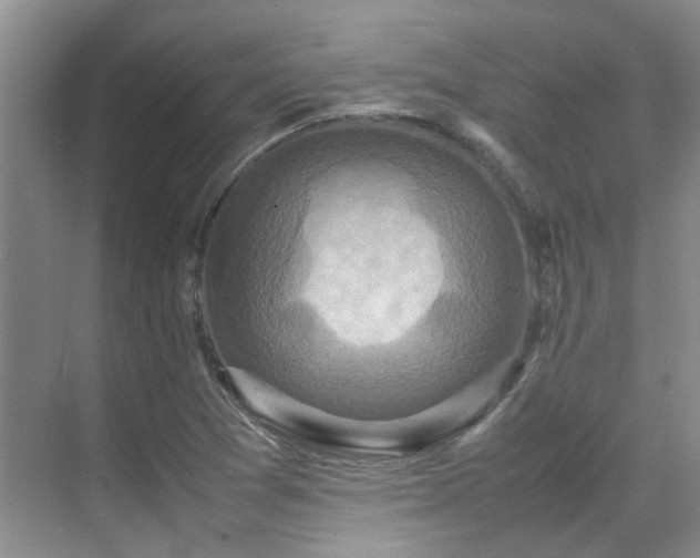 X0000070411361200606121319