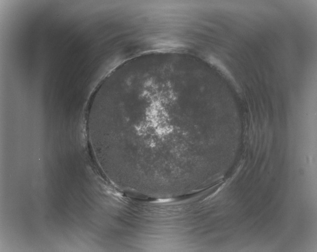 X0000070411362200606121319