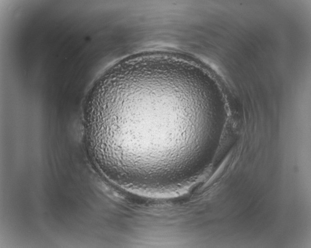 X0000070411363200606121319