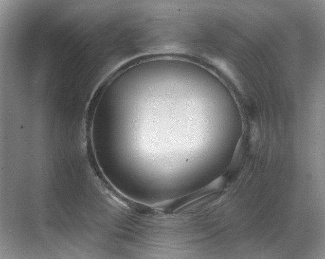 X0000070411364200606121319