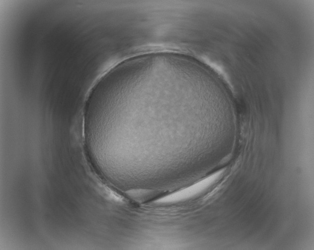 X0000070411365200606121319