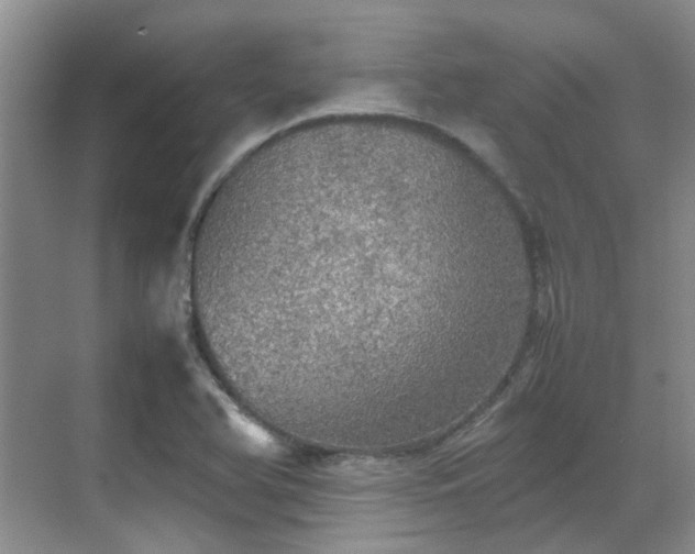 X0000070411366200606121319