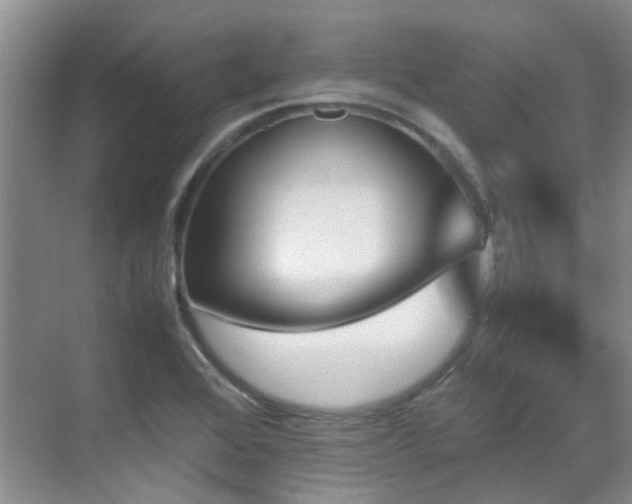 X0000070411368200606121319