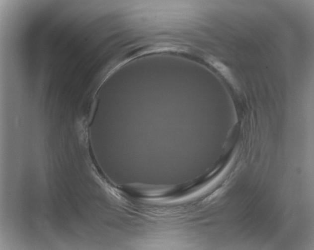 X0000070411369200606121319