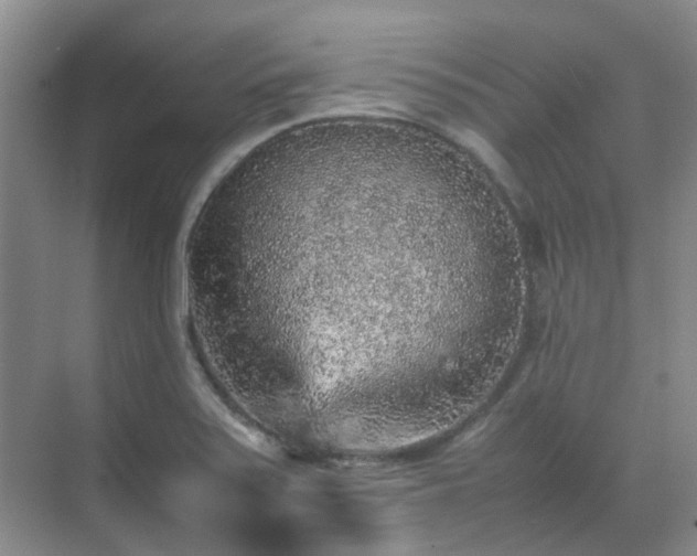 X0000070411371200606121319