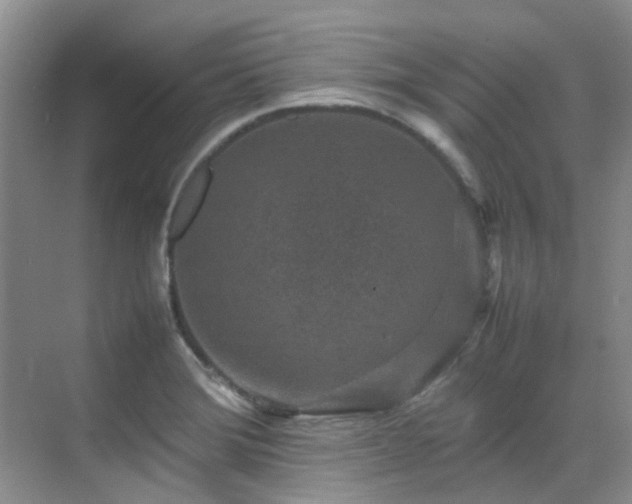 X0000070411372200606121319