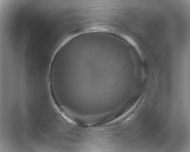 X0000070411373200606121319