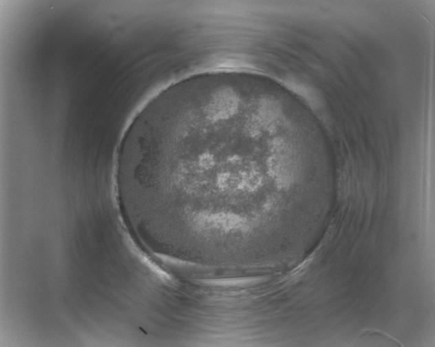 X0000070411374200606121319