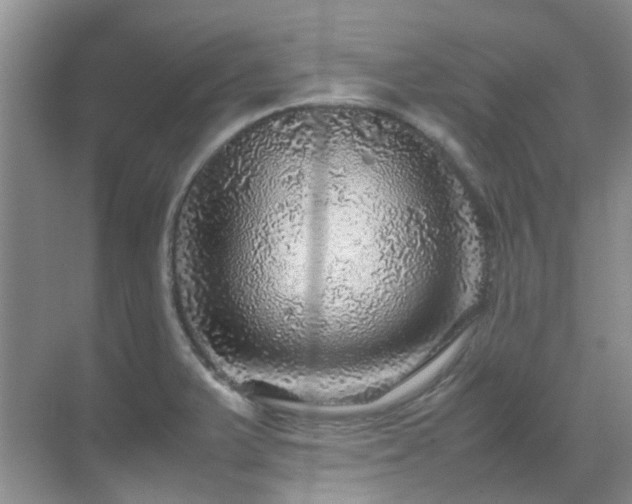 X0000070411375200606121318