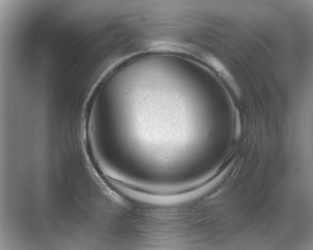 X0000070411376200606121318