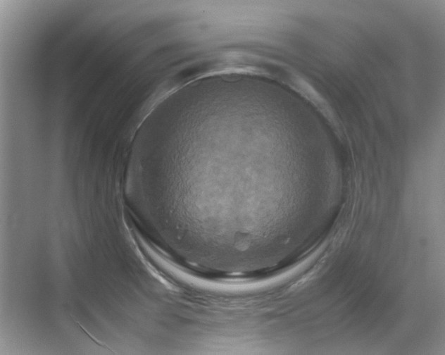 X0000070411377200606121318