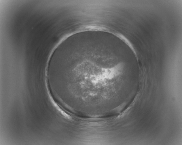 X0000070411381200606121318