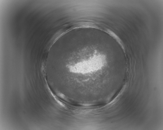 X0000070411385200606121318