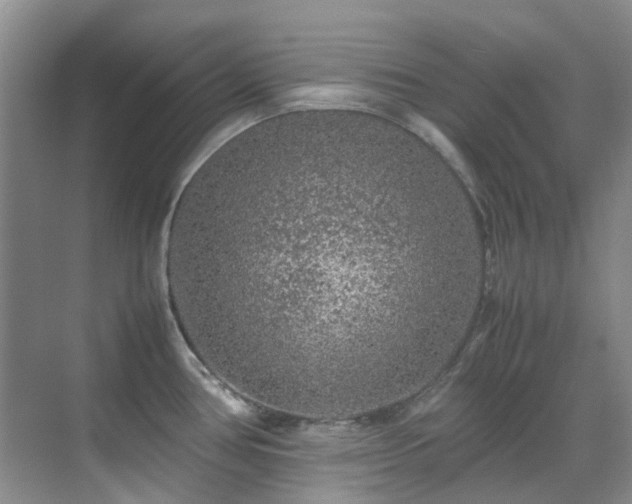 X0000070411386200606121318