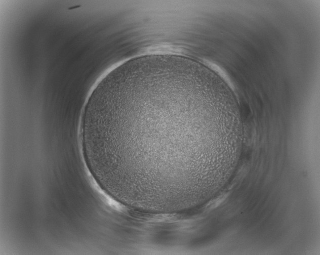 X0000070411387200606121318