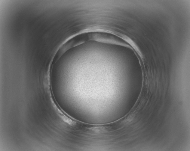 X0000070411388200606121318