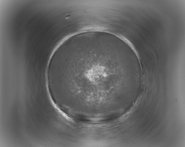 X0000070411389200606121318