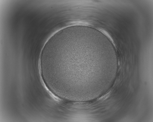 X0000070411391200606121318