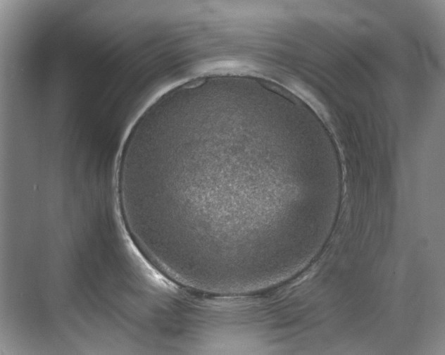 X0000070411392200606121318