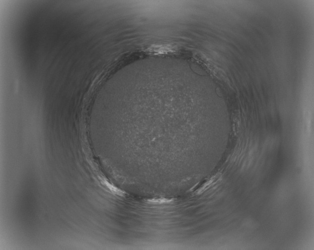 X0000070411393200606121317