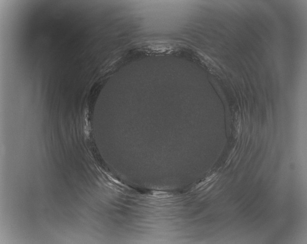 X0000070411394200606121317