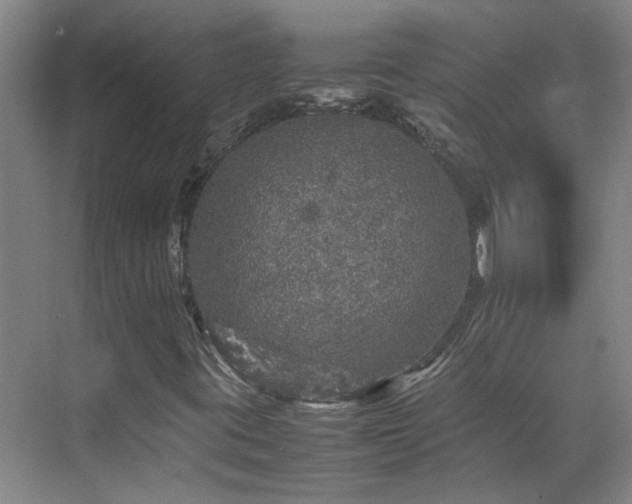 X0000070411395200606121317