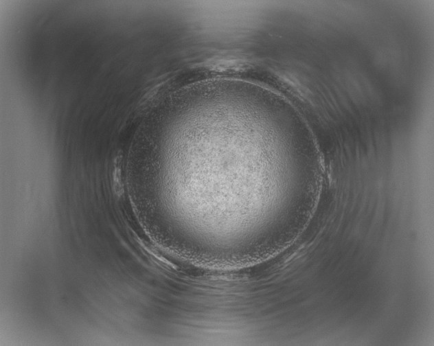 X0000070411396200606121317