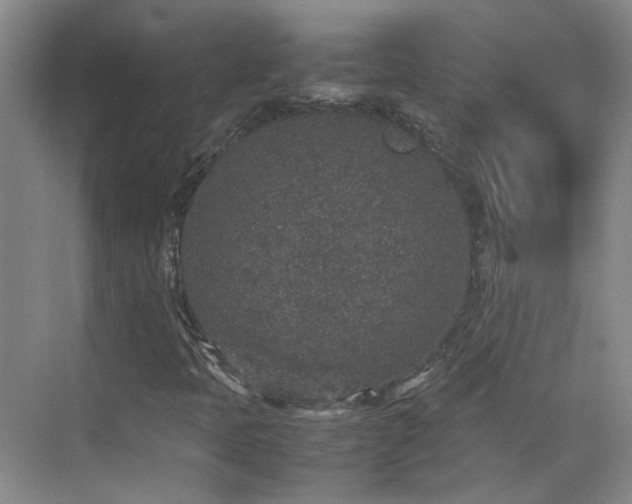 X0000070411397200606121317