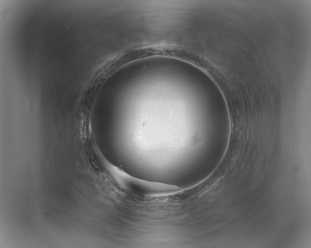 X0000070411398200606121317