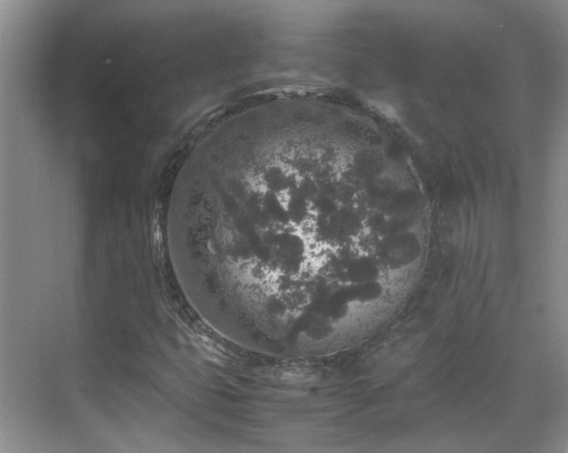 X0000070411399200606121318