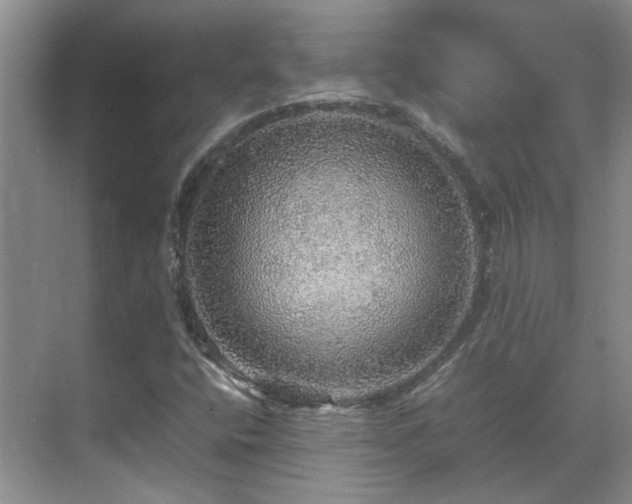 X0000070411400200606121318