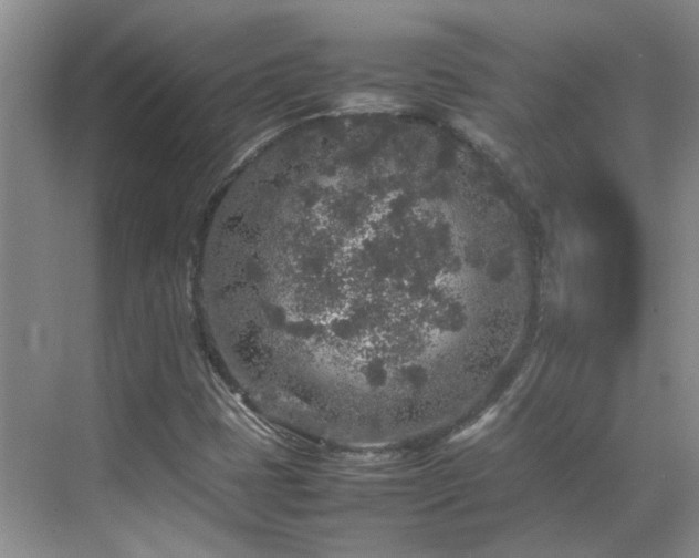 X0000070411401200606121318