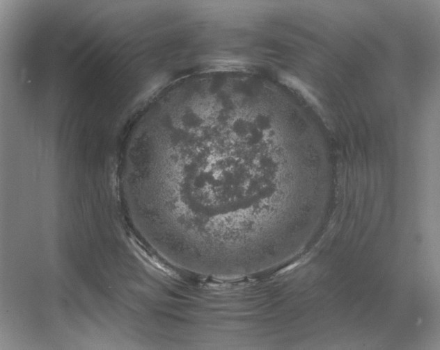 X0000070411403200606121318