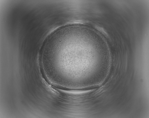 X0000070411404200606121318